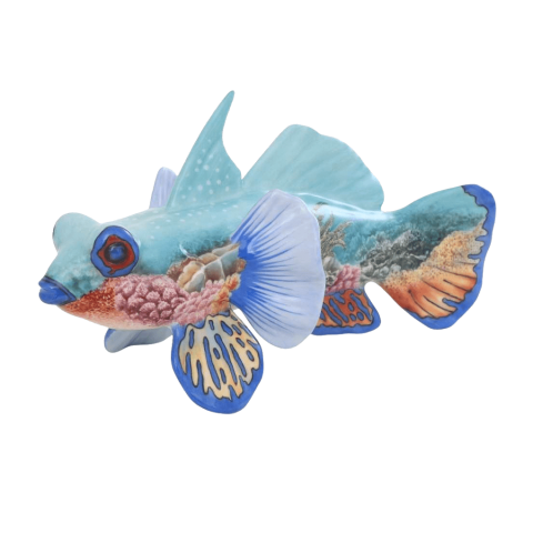Mandarin fish